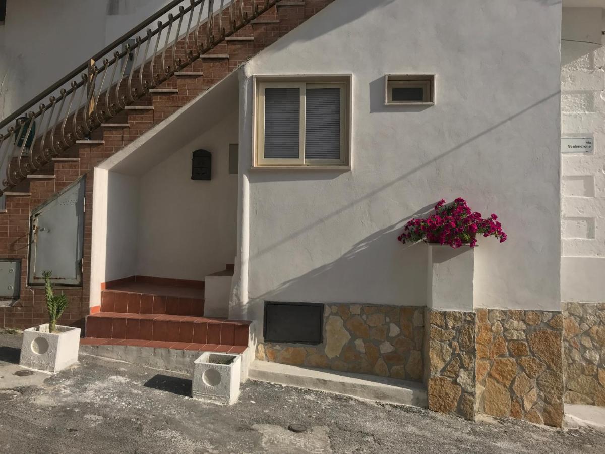 Casa Vacanze Flora Peschici Exterior photo